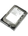 FUJITSU Hard Drive 300GB (MAX3300NC)